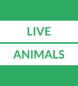 Live Animal Loans